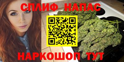 бошки Шебекино