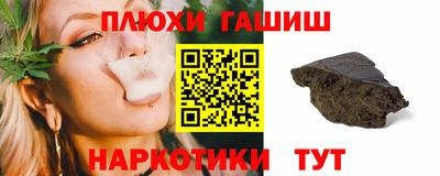 прущие грибы Шахты