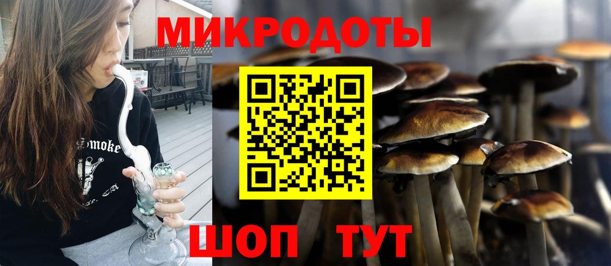Псилоцибиновые грибы прущие грибы Куйбышев