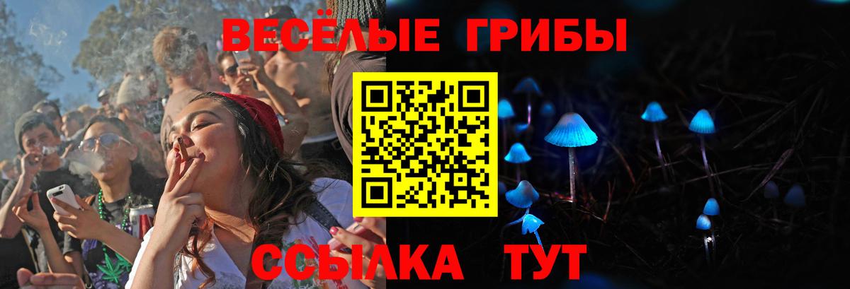 Куйбышев  Галлюциногенные грибы Cubensis  Вход с VPN 